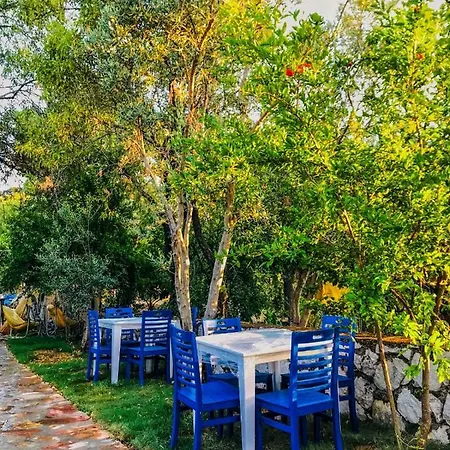 Hotel Zeytin Dali Butik