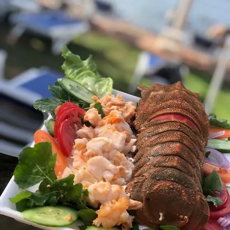 Hotel Zeytin Dali Butik Selimiye (Aegean)