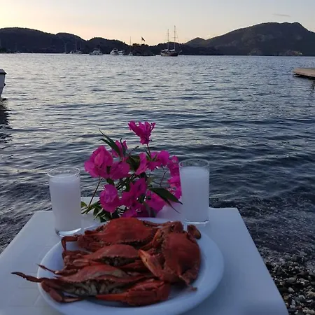 Zeytin Dali Butik فندق *