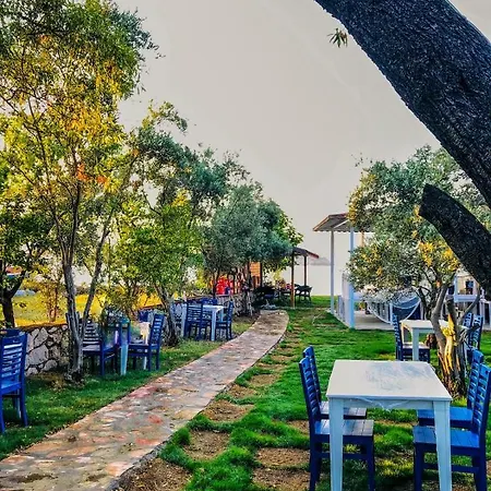 Zeytin Dali Butik فندق